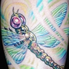 alice-dfly alice-dfly